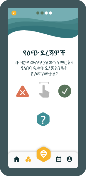 HiveTracks Brood Stages inspection screen translated into Amharic for Ethiopian beekeepers