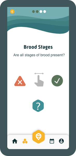 HiveTracks Brood Stages inspection screen in English